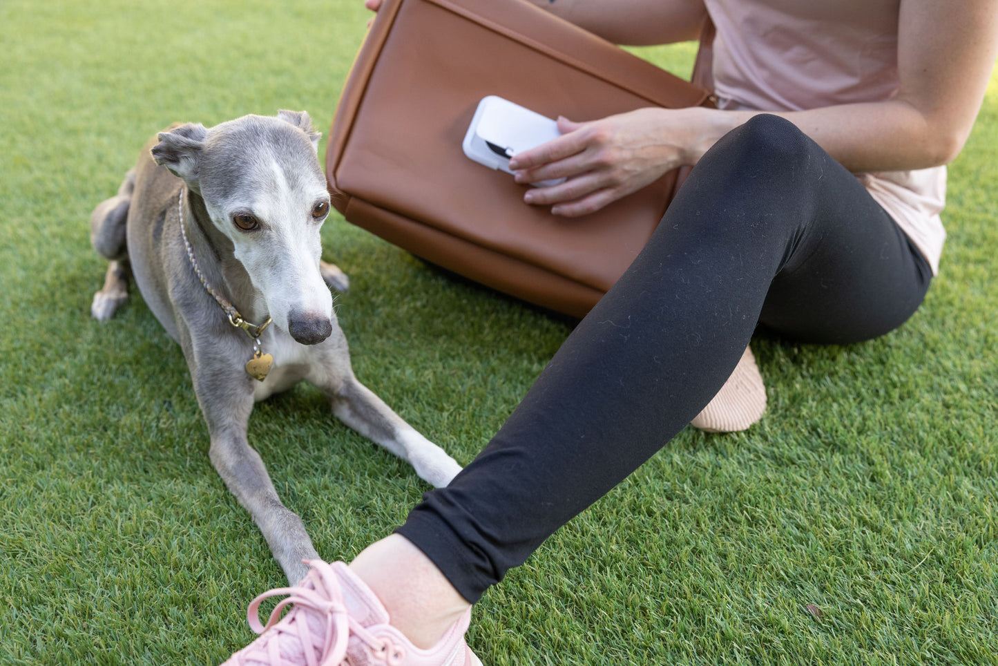 Koolie Cooks Giveaway - Imperfect but functional!